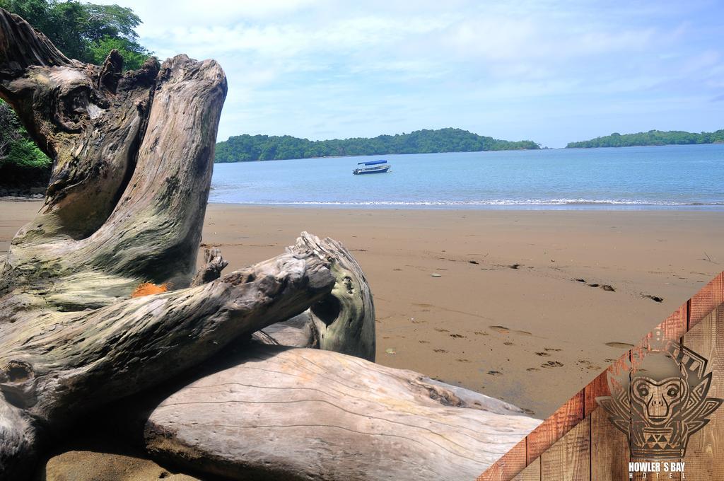 Howlers Bay Hotel โบกา ชิกา ภายนอก รูปภาพ
